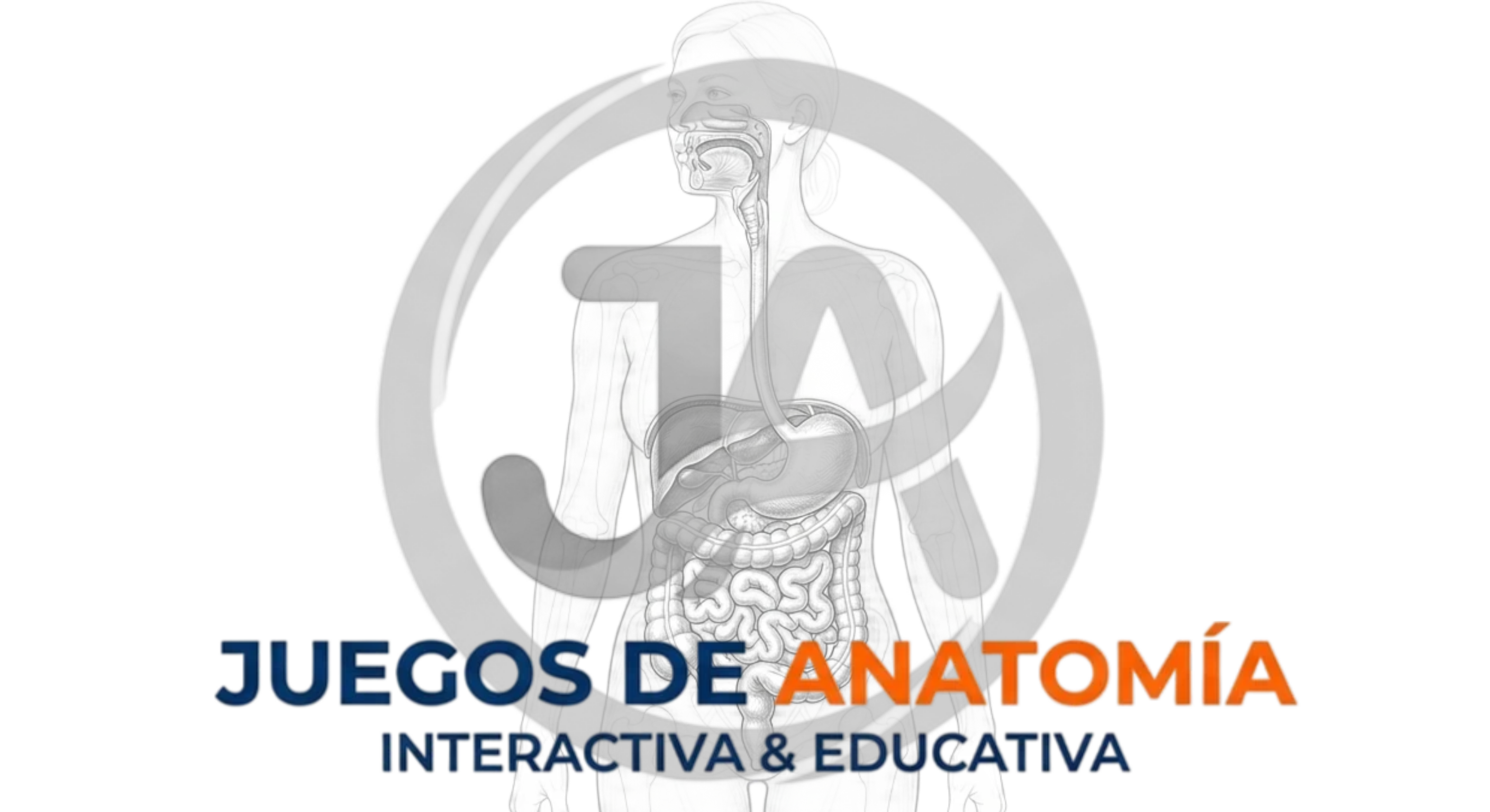 Ilustración médica interactiva del aparato digestivo humano con dibujo base y logo de Juegos de Anatomía para estudio y ejercicios de anatomía.