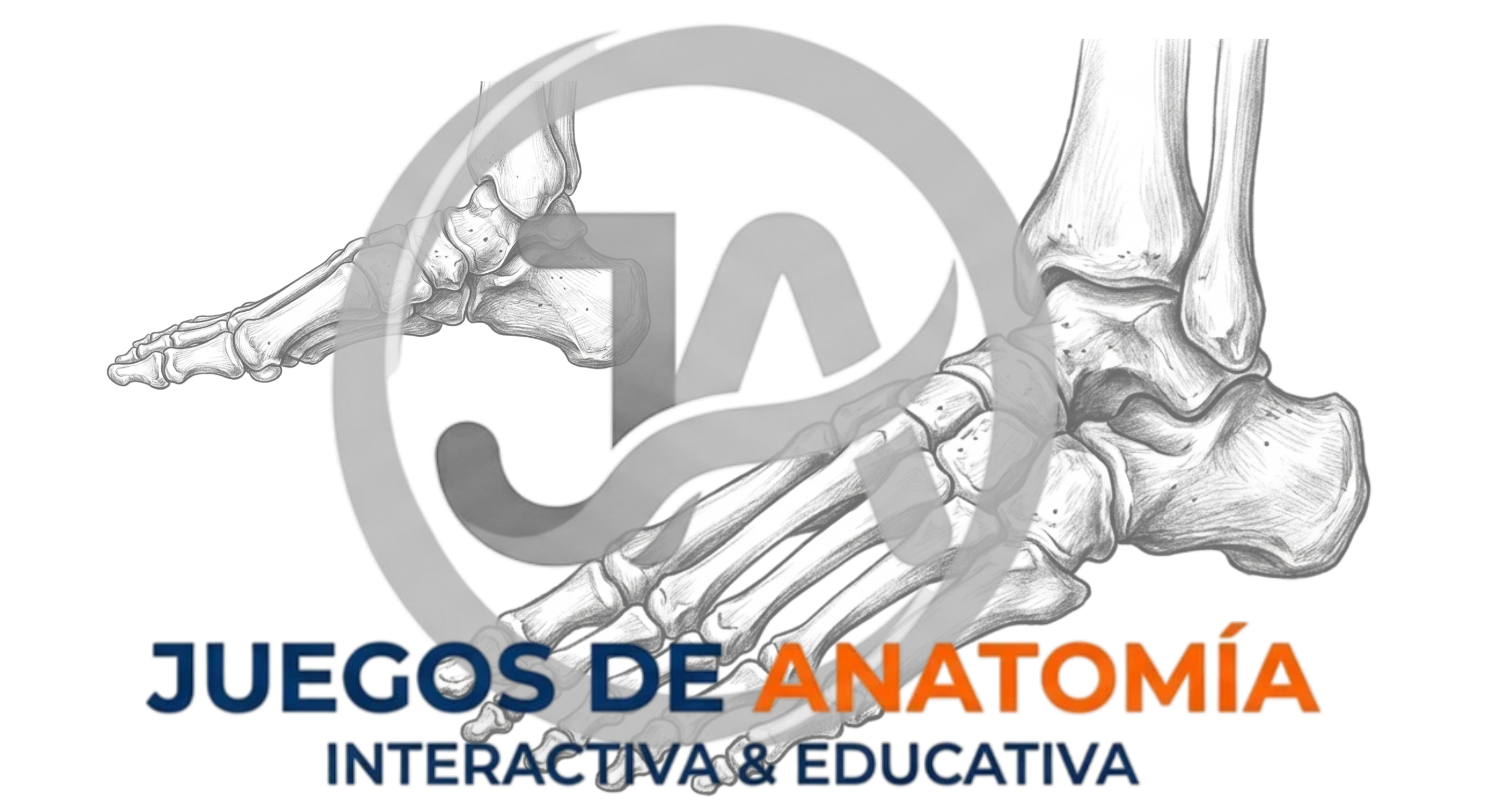 Logo de Juegos de Anatomía: Osteología del pie y tobillo, huesos del tarso, metatarso y falanges para estudiantes de ciencias de la salud.